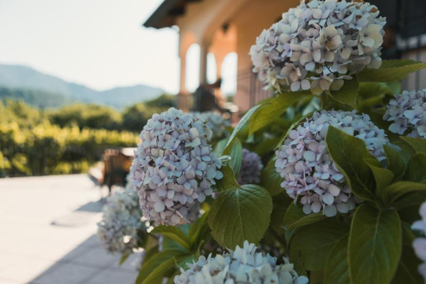 Il Frescale Country House Tramonti Eksteriør bilde